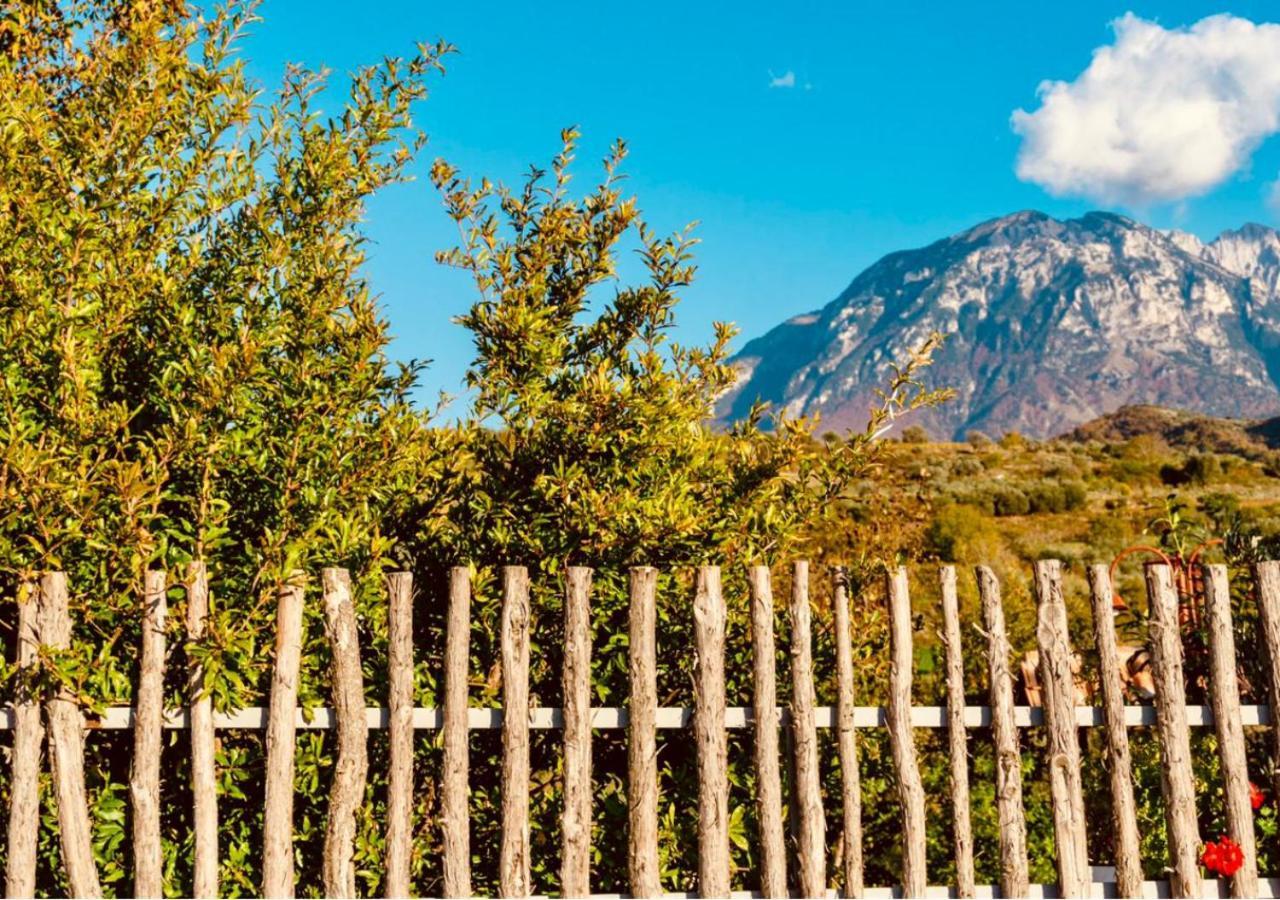 Alpeta Agrotourism & Winery - Roshnik , Berat Hotel Kültér fotó
