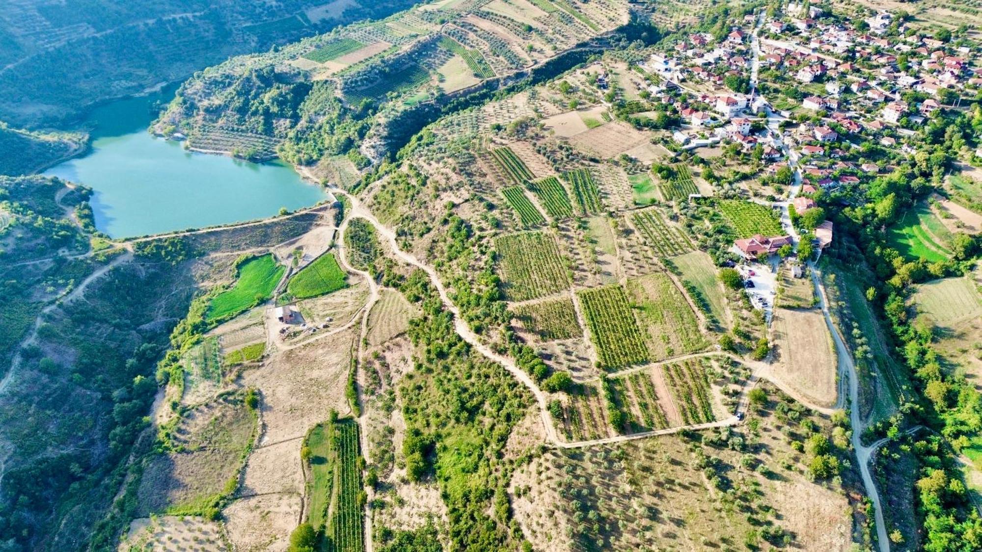 Alpeta Agrotourism & Winery - Roshnik , Berat Hotel Kültér fotó