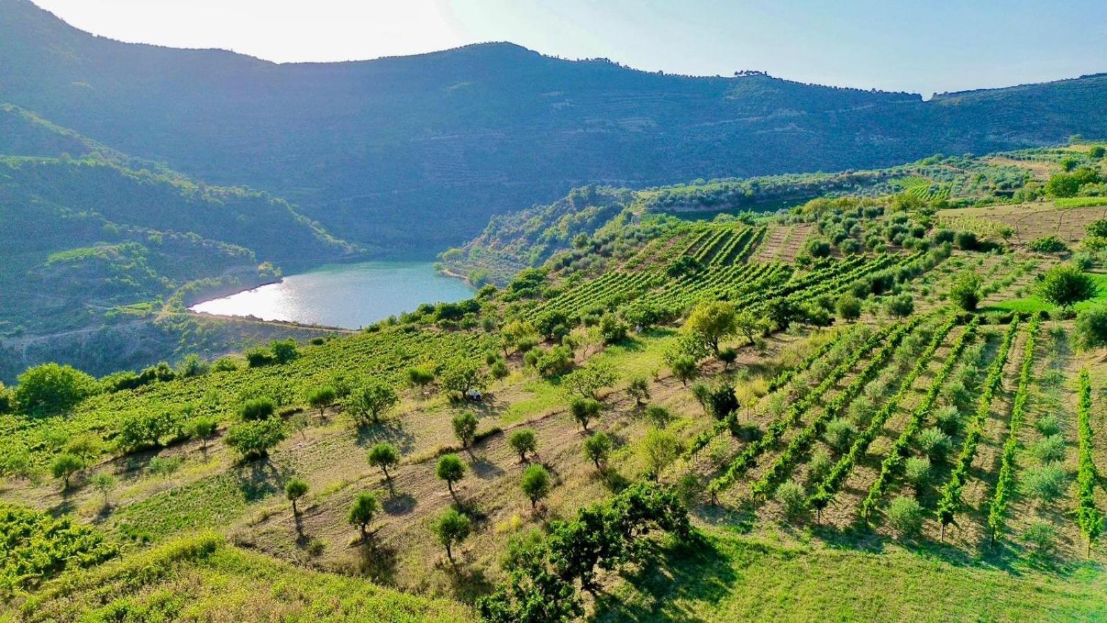 Alpeta Agrotourism & Winery - Roshnik , Berat Hotel Kültér fotó