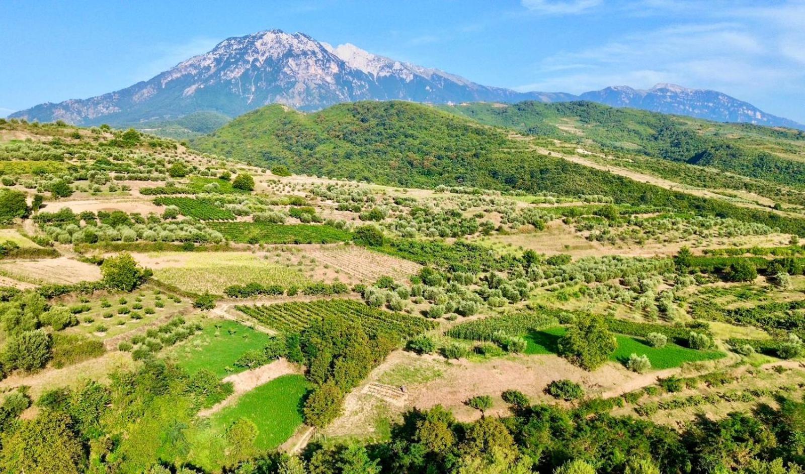 Alpeta Agrotourism & Winery - Roshnik , Berat Hotel Kültér fotó